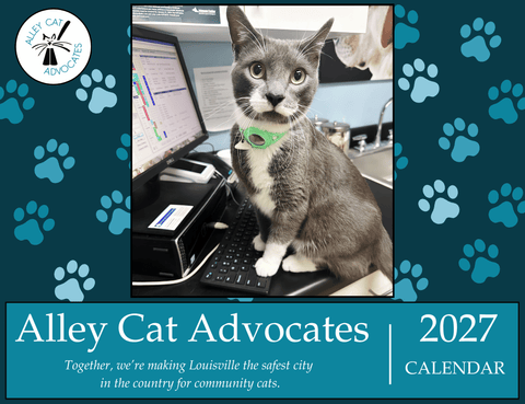 2027 Alley Cat Advocates Wall Calendar