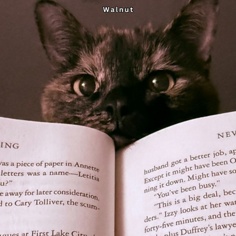 2026 Alley Cat Advocates Wall Calendar