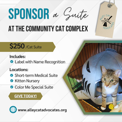 Sponsor a Suite