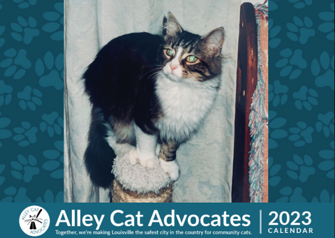 2023 Alley Cat Advocates Wall Calendar