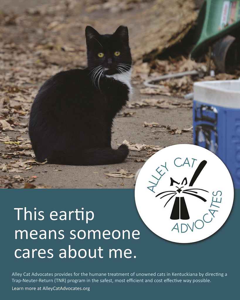 Alley Cat Advocates 16"x20" Poster: This eartip means someone cares about me.