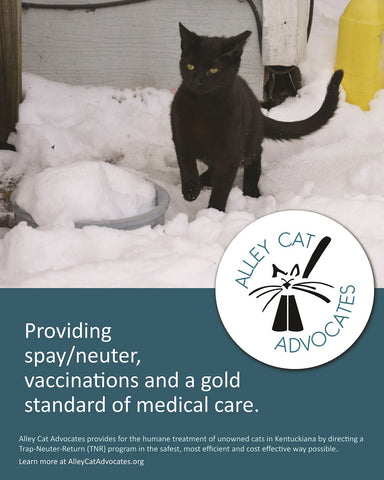 Alley Cat Advocates 16"x20" Poster: Providing spay/neuter and a gold standard of medical care.