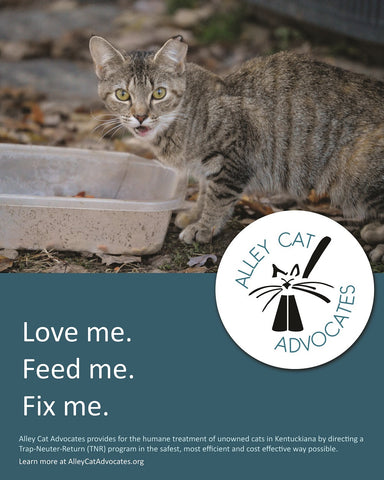 Alley Cat Advocates 16"x20" Poster: Love me.  Feed me.  Fix me.